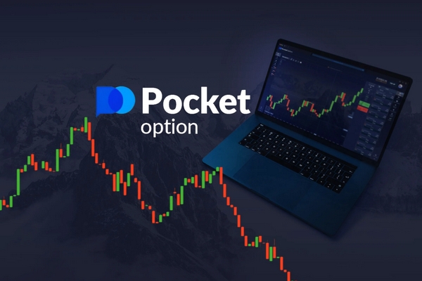 All You Need to Know About Pocket Option for PC