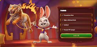 Magius Casino Bonuses Unlocking the Best Offers Magius Casino Bonuses Unlocking the Best Offers