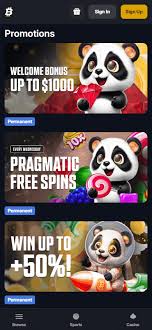 Playson Slots Worth Trying Discover the Best Games