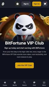 The Comprehensive Guide to Bitfortune No-KYC Experience