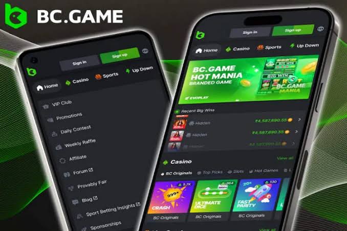 The Exciting World of BC.Game Online Casino Platform
